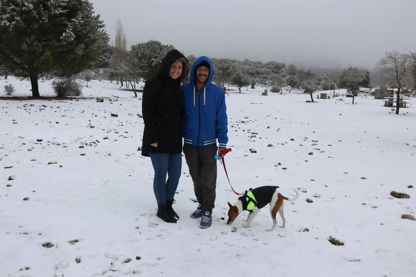 Ronda, Antequera y Alfarnate se cubren bajo un manto blanco