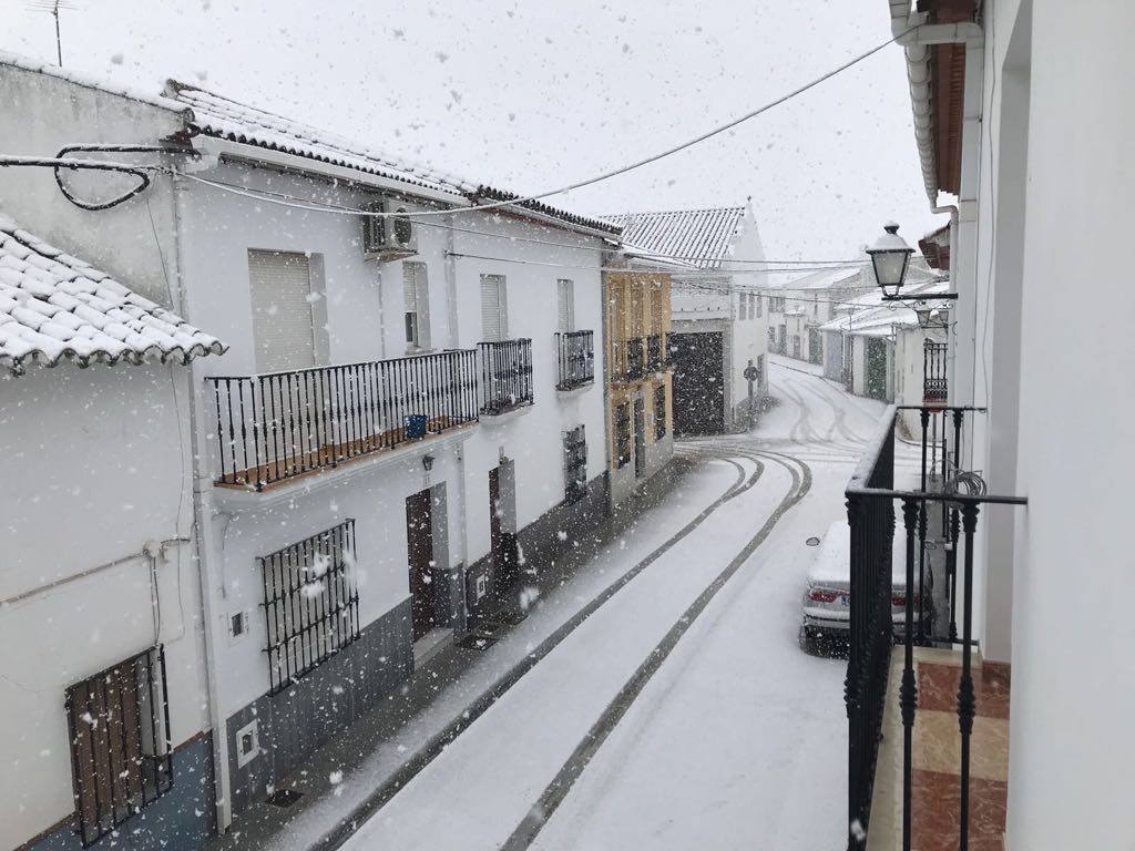 Ronda, Antequera y Alfarnate se cubren bajo un manto blanco