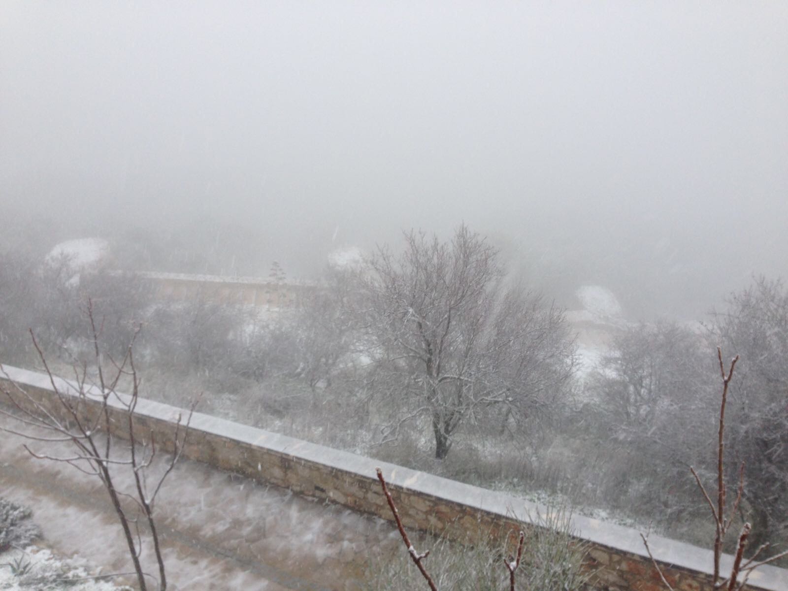 Ronda, Antequera y Alfarnate se cubren bajo un manto blanco