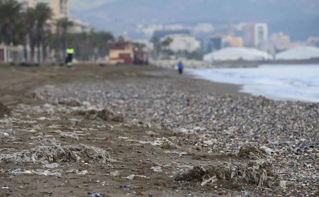 Así amaneció La Misericordia el 25 de diciembre.