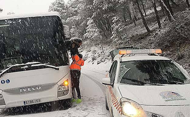 Vehículos en la carretera que une Ronda con San Pedro, antes de que se cortara el tráfico a la altura de Igualeja.