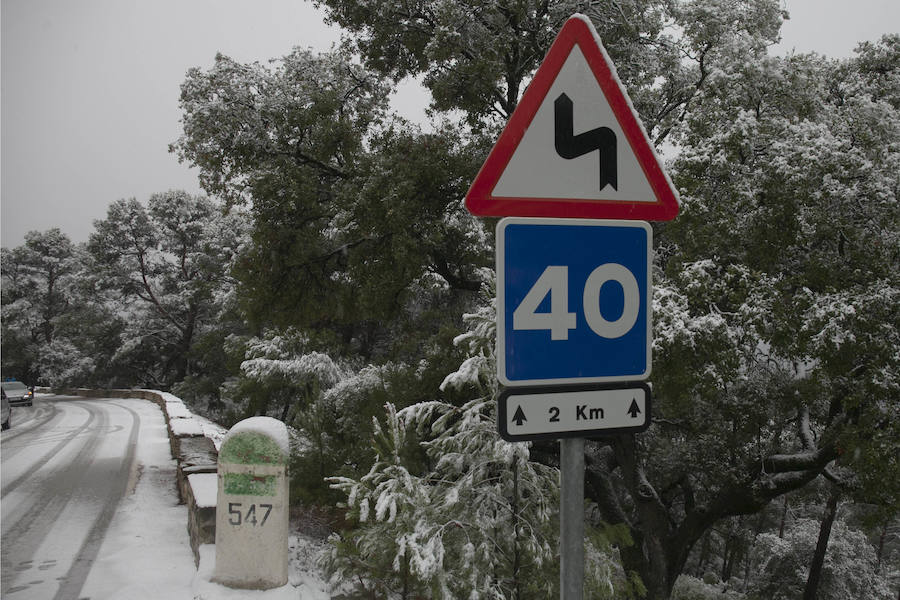 Un manto blanco ha cubierto esta zona de la capital este lunes