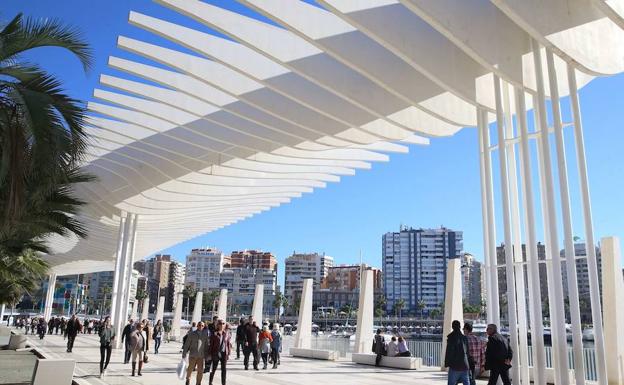 Málaga recibe el premio Ciudad Sostenible en la categoría de calidad del aire
