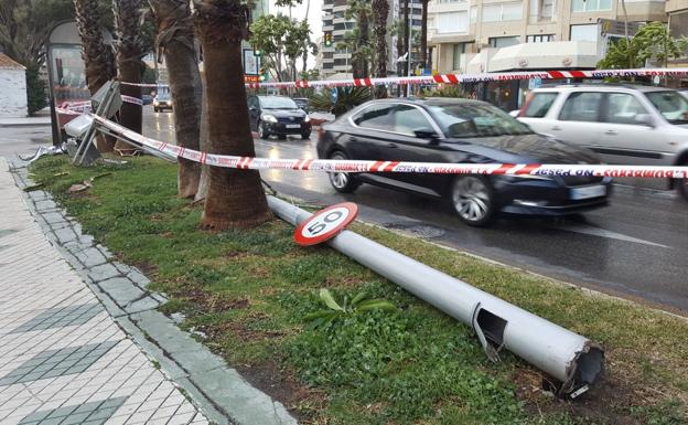 Dos farolas, nueve semáforos, 39 árboles... Lo que el viento se llevó en Málaga