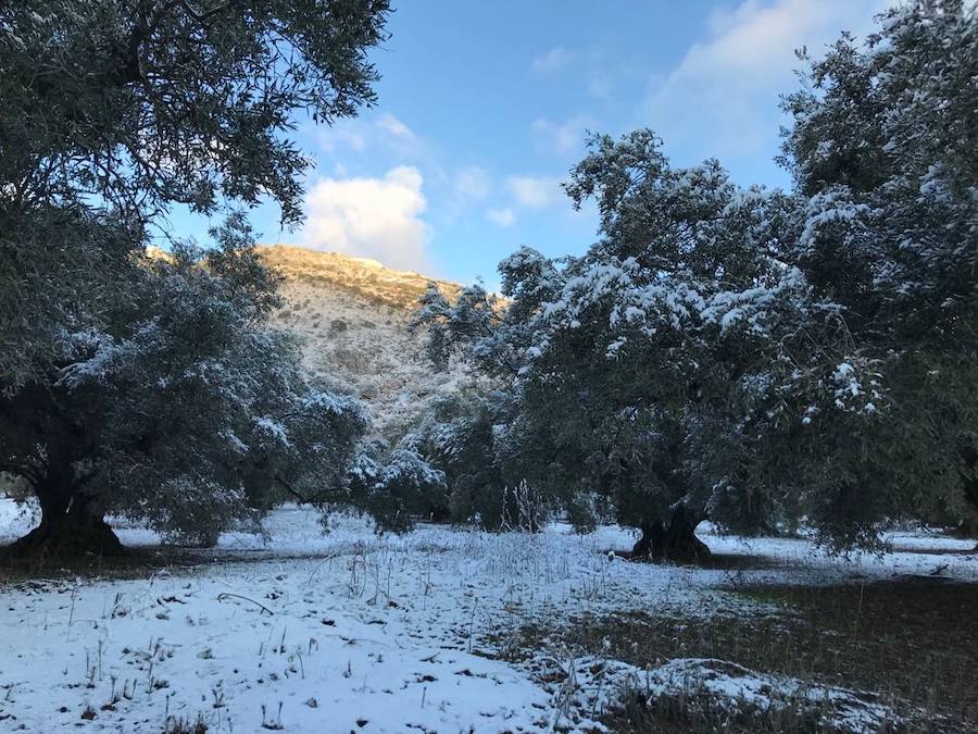 La Axarquía se viste con nieve