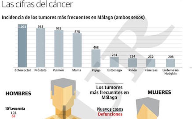 Gráfico.