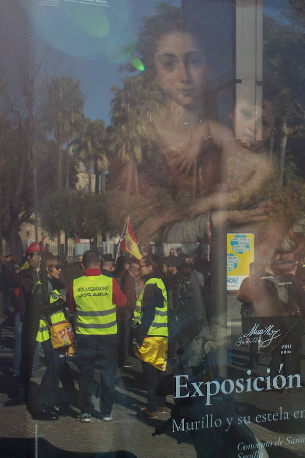 La marcha se celebró en Sevilla