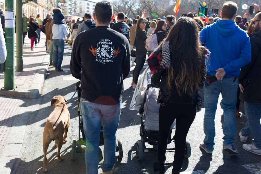 La marcha se celebró en Sevilla