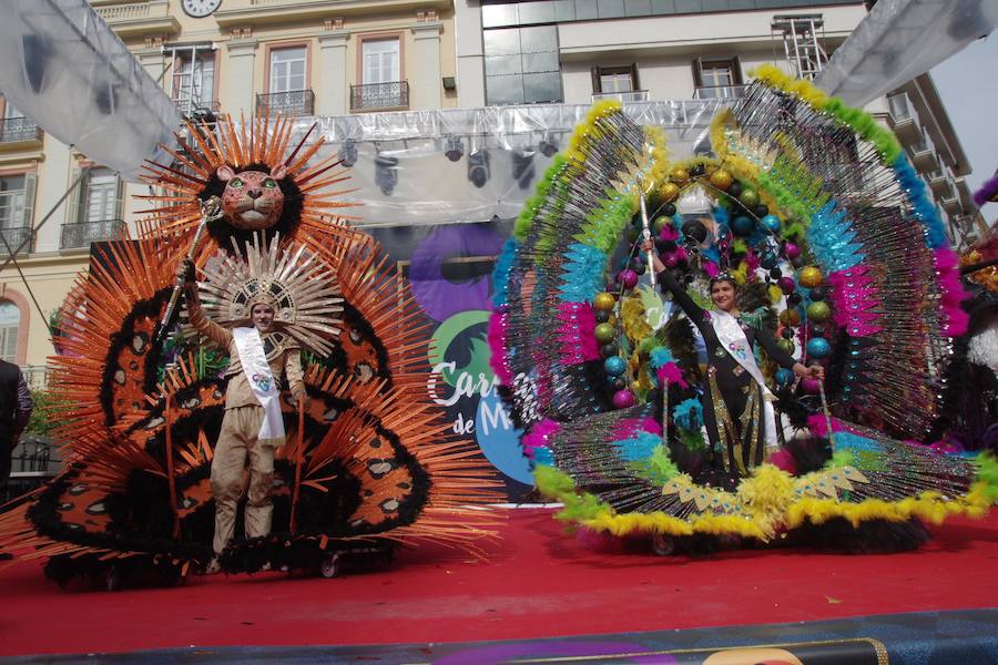 Se ha celebrado en la Plaza de la Constitución