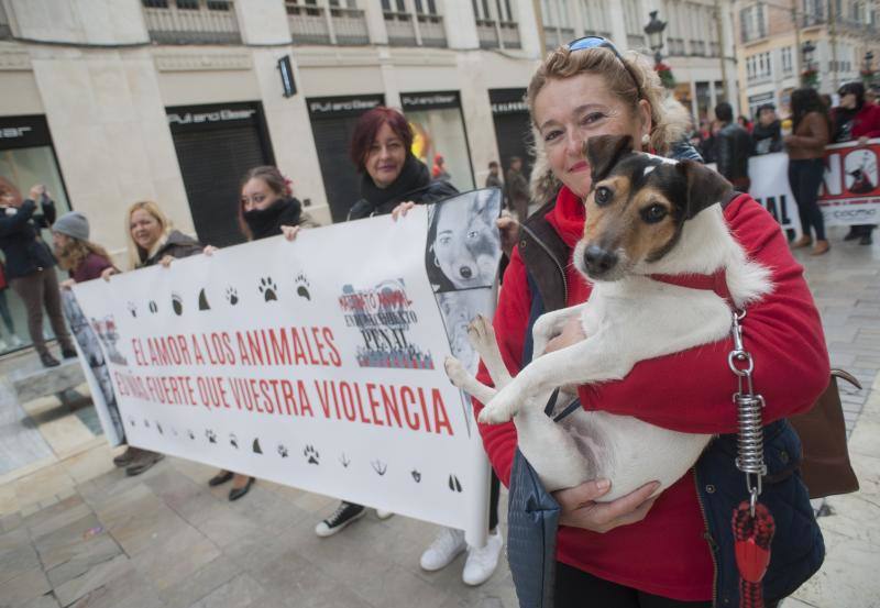 Secundan en la Plaza de la Marina la manifestación que se ha celebrado a la vez en 30 ciudades españolas