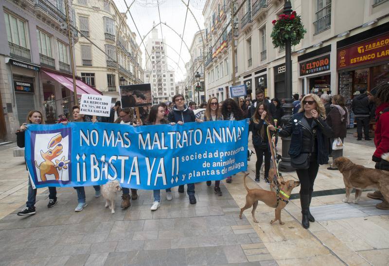 Secundan en la Plaza de la Marina la manifestación que se ha celebrado a la vez en 30 ciudades españolas