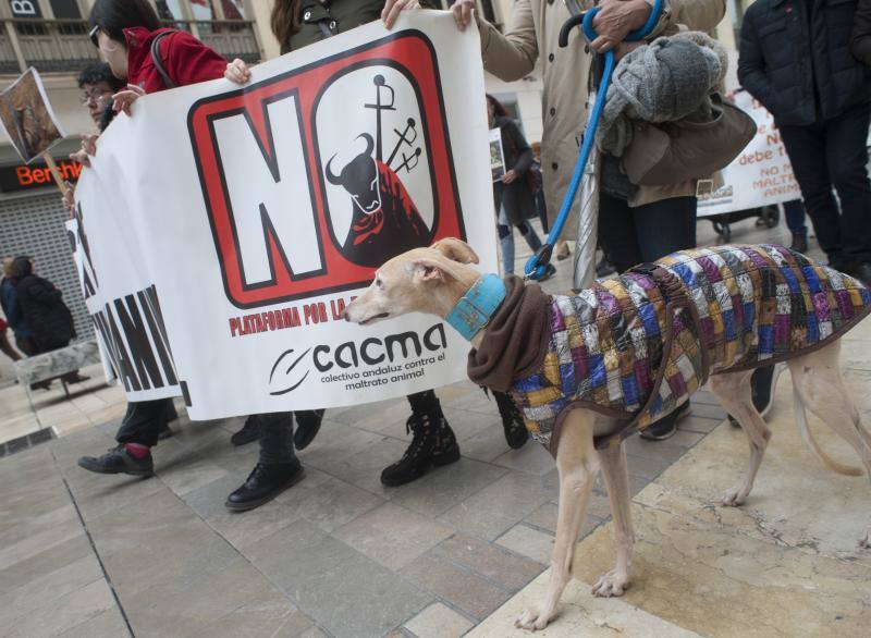 Secundan en la Plaza de la Marina la manifestación que se ha celebrado a la vez en 30 ciudades españolas