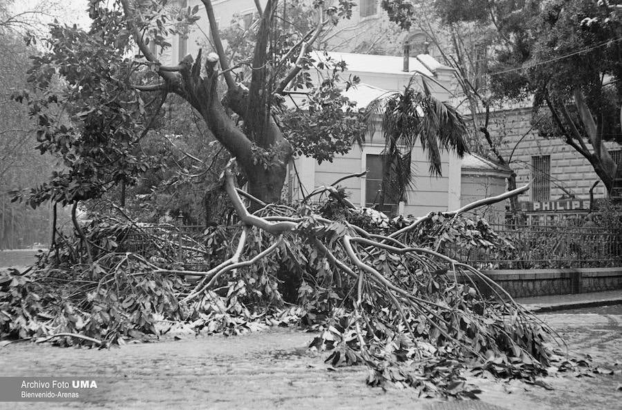 El 3 de febrero de 1954 es una fecha que ha quedado en el recuerdo de la capital. Aquel día se dieron las condiciones necesarias para que la nieve cuajara en Málaga y quedara una estampa que no se ha vuelto a repetir desde esa fecha.