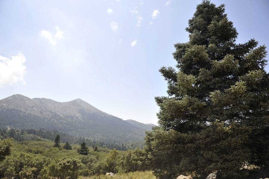 El Gobierno lo ha declarado Parque Nacional 