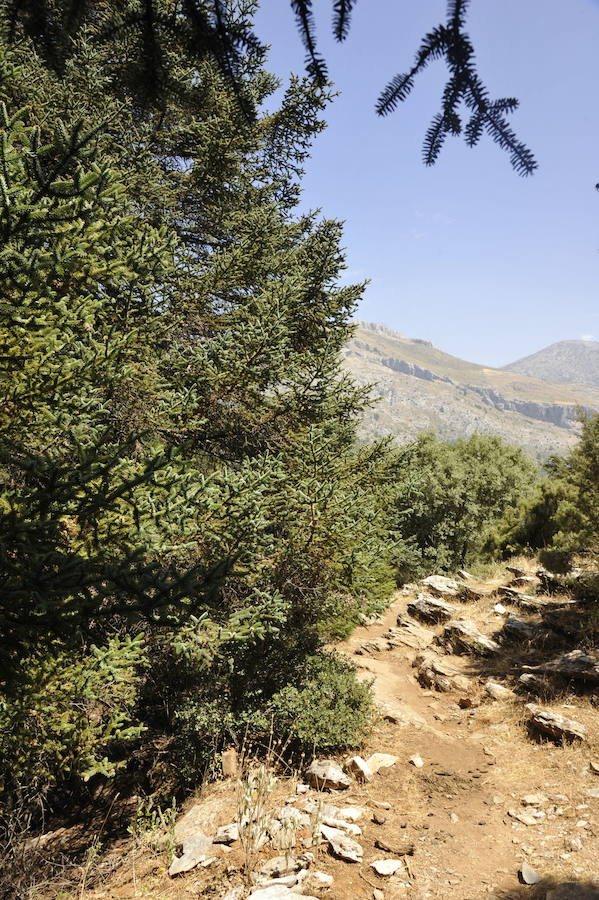 El Gobierno lo ha declarado Parque Nacional 