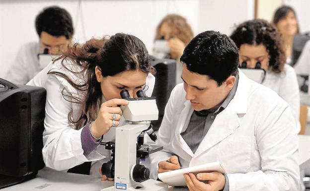 La Universidad de Málaga incentiva las prácticas en empresas y pagará la mitad de la ayuda