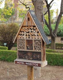 Imagen secundaria 2 - Olea Europea. Lapacho Rosa. Hotel de insectos.
