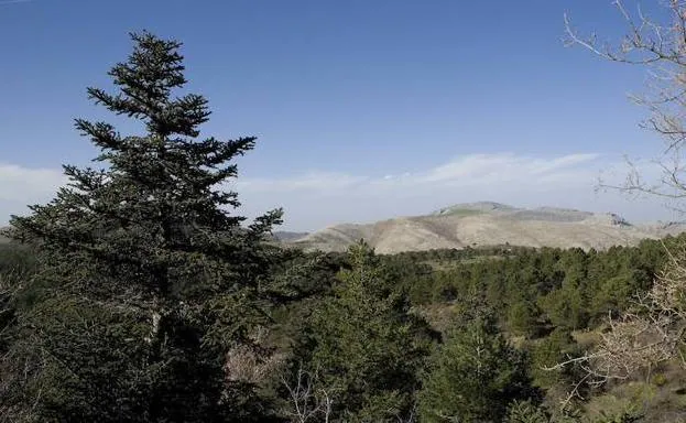 La Sierra de las Nieves tendrá un régimen de protección preventiva hasta que sea parque nacional