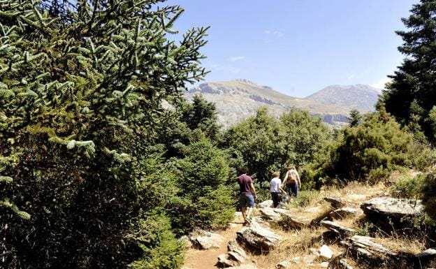 Galería. Un recorrido por la Sierra de las Nieves, en imágenes. 