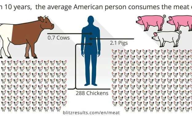 Imagen principal - Cantidad media de animales consumidos en diez años por un ciudadano estadounidenese. Campos que debes rellenar del consumo de carne semanal (en onzas). 