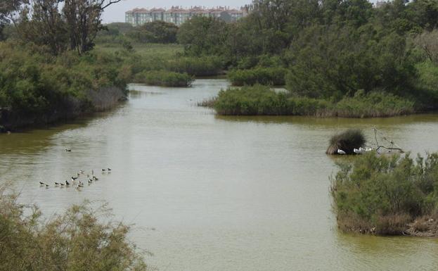 Laguna interior de la Desembocadura del río Guadalhorce.