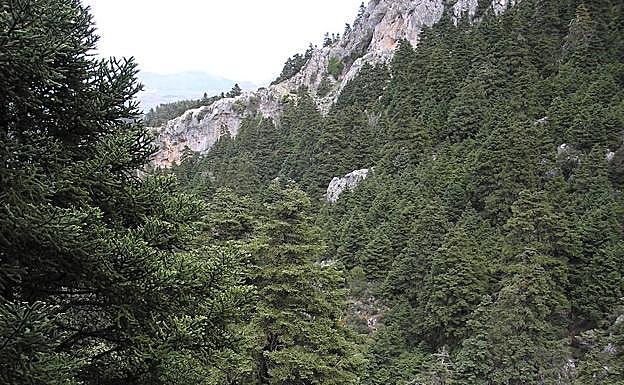 Siete cosas que no sabías sobre la Sierra de las Nieves