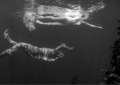 Imagen secundaria 1 - Similitudes. Arriba, dos momentos de ‘La mujer y el monstruo’ (’La criatura de la Laguna Negra’ en el original). Junto a estas líneas, Milicent Patrick, diseñadora del extraño ser. En la otra página, dos fotogramas de ‘La forma del agua’, de Guillermo del Toro