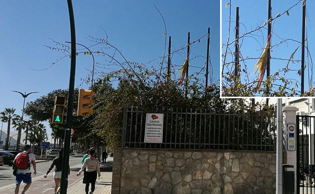 De banderas y de España