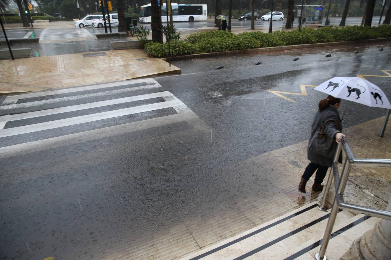 Los municipios en los que llueve con mayor intensidad son Alfarnatejo, Jubrique, Pujerra, Estepona, Mijas y Málaga capital. Se han registrado unas 30 incidencias desde ayer