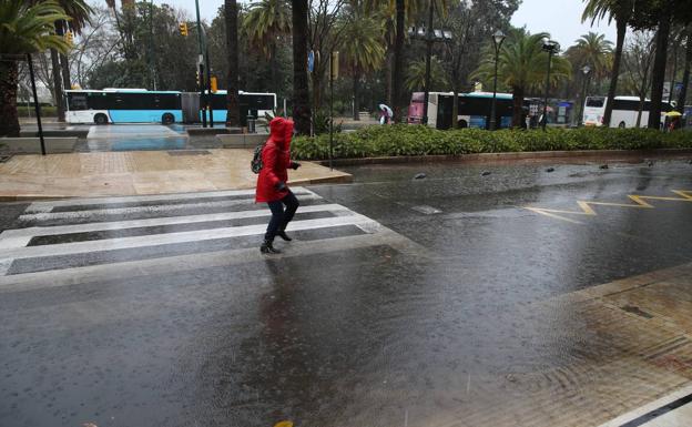 LLuvias registradas en el Centro de Málaga, este jueves.