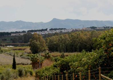 Imagen secundaria 1 - Hito que indica un giro a la derecha para ir hacia el cauce del arroyo Casarabonela | Una de las pocas pendientes que hay subir en esta ruta | Buena parte del camino está acompañado por huertas