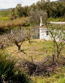 Imagen secundaria 2 - Hito que indica un giro a la derecha para ir hacia el cauce del arroyo Casarabonela | Una de las pocas pendientes que hay subir en esta ruta | Buena parte del camino está acompañado por huertas