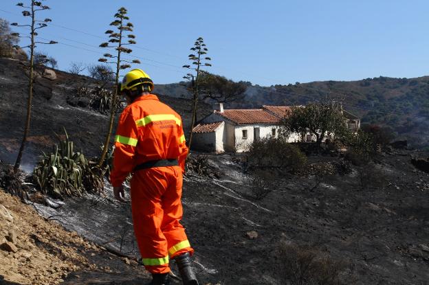 Efectivo de Protección Civil en una zona afectada por un incendio forestal. 