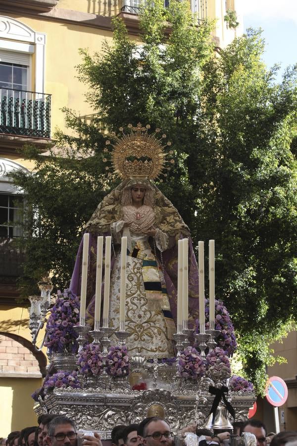 Sangre, Gitanos, Pollinica, Prendimiento, Huerto, Penas y Piedad