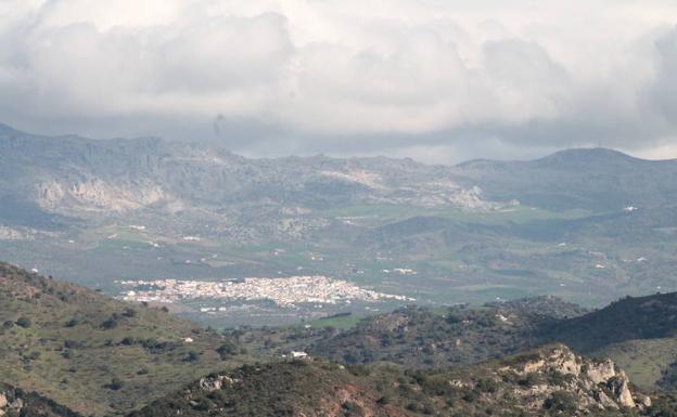 Imagen principal - Vista de Villanueva de la Concepción y del Torcal que se obtiene en esta ruta | Balizas que indican el camino a seguir, instaladas por un taller de empleo de Almogía | El palmito es una de las especies botánicas que se pueden ver en esta ruta