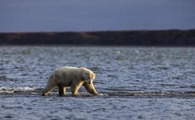 El Ártico pierde hielo marino hasta en invierno