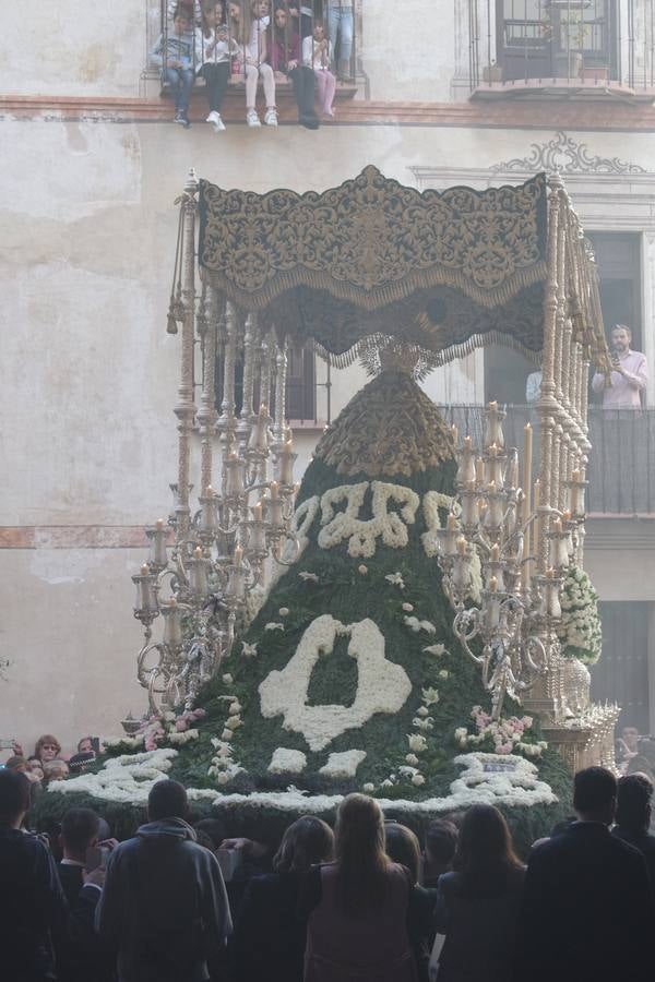 Imágenes de los cortejos de Rocío, Penas, Nueva Esperanza, Estrella, Rescate y Sentencia