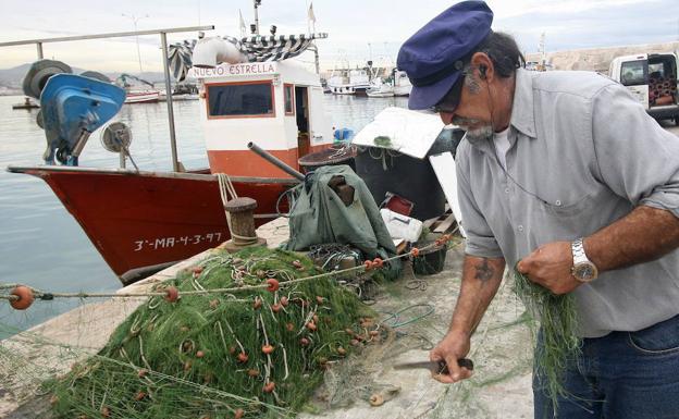 Los pescados y crustáceos más baratos del litoral malagueño