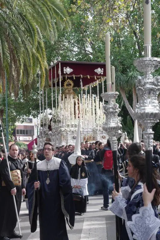 Fotos del desfile procesional de la cofradía de La Malagueta