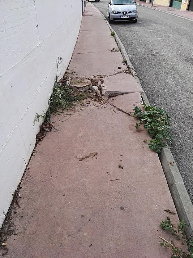 Las raíces de los árboles han dañado las aceras en muchas calles. :: e. c.