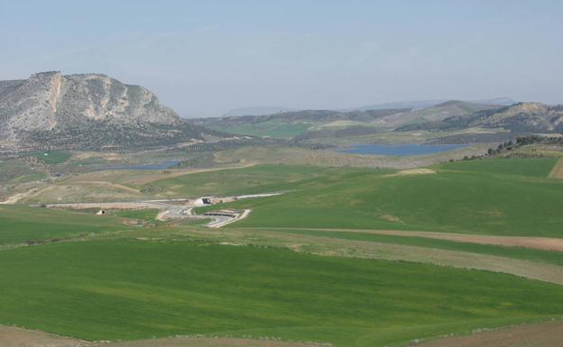 Los contrastes desde el Valle del Guadalteba son espectaculares en primavera.