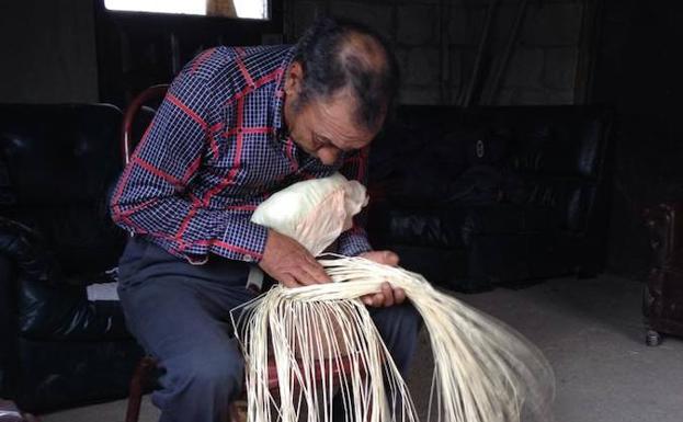 Artesano de la Toquilla Andina, exportadores de sombreros Panamá. 