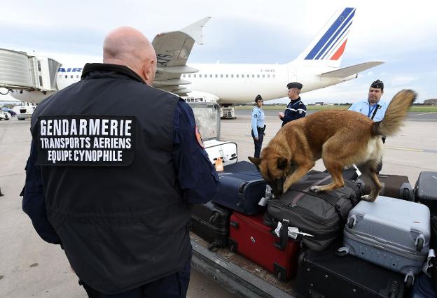 Gendarmes examinan equipajes con ayuda de un perro en el aeropuerto de Montpellier. :: P. GUYOT / afp