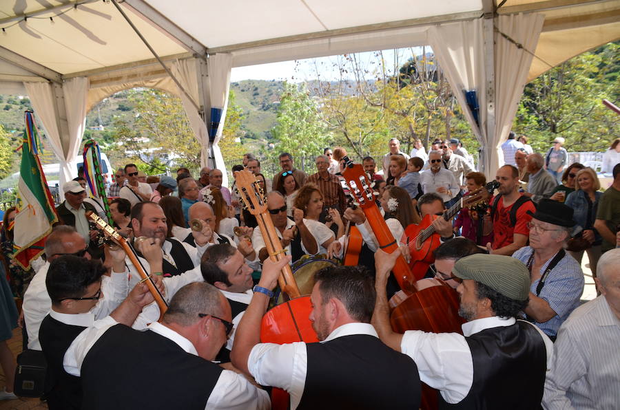 Acoge una fiesta multitudinaria para festejar la distinción de la FAO a un sistema de cultivo tradicional del que viven 2.000 familias de la Axarquía