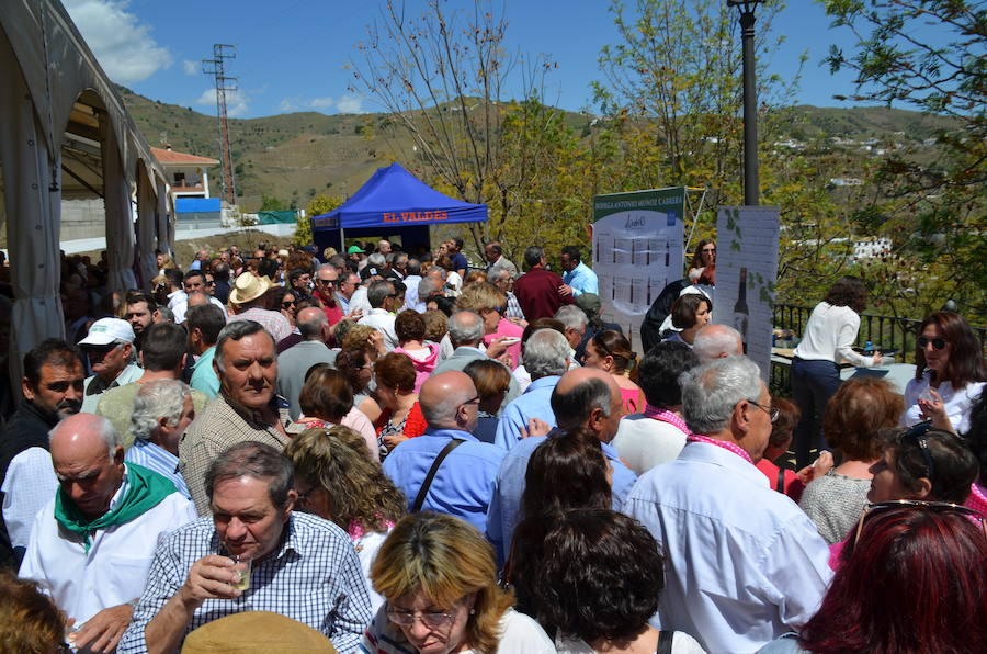 Acoge una fiesta multitudinaria para festejar la distinción de la FAO a un sistema de cultivo tradicional del que viven 2.000 familias de la Axarquía