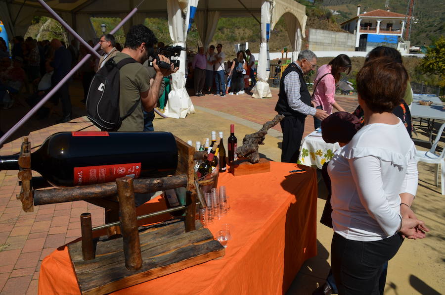 Acoge una fiesta multitudinaria para festejar la distinción de la FAO a un sistema de cultivo tradicional del que viven 2.000 familias de la Axarquía