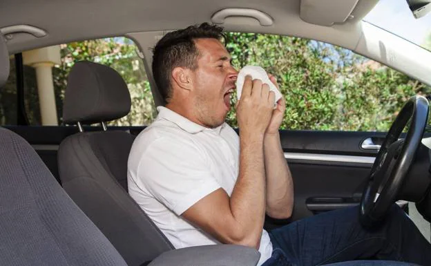 La DGT advierte: ojo al volante con los síntomas de la alergia 