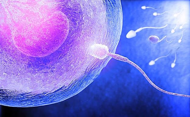 «Hola, soy tu hijo»: Los donantes de semen y óvulos dejarán de ser anónimos en Portugal