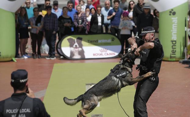 Un momento de la exhibición con la unidad canina de la Policía 