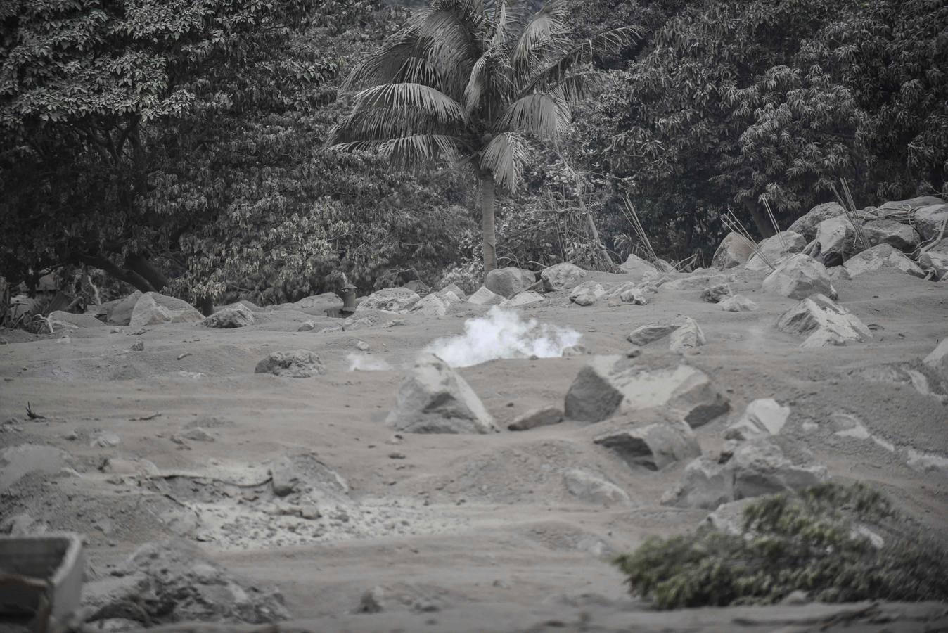 La erupción del volcán de Fuego en Guatemala ha causado al menos una treintena de muertos, aunque la cifra sigue aumentando. Las fuerzas de seguridad y salvamento se han movilizado para salvaguardar a los afectados que se cuentan por miles.